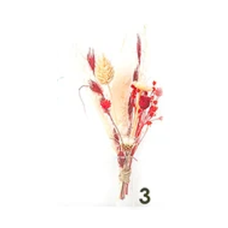 Bouquet 3, Red & white dried flowers
