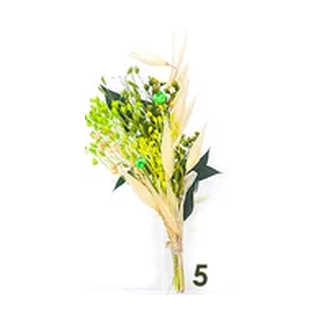 Bouquet 5, Green dried flowers