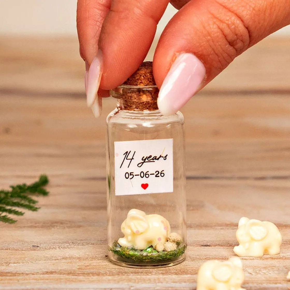 14th Anniversary Ivory Elephant Message Bottle